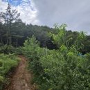 홍현농장 이미지