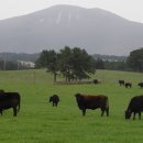 충렬축산 이미지