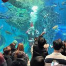 다누리센터 아쿠아리움 이미지