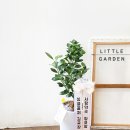 사계약국 이미지