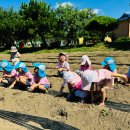 바다의별유치원 이미지