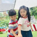 동물들과 함께한 즐거운 시간 🐾 이미지