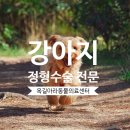 개봉동물병원 이미지