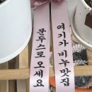 문두스(Mundus) 이미지