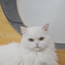 반짝반짝