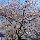 현대코아사거리 현대코아방향 이미지