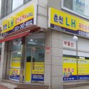 춘천상가전문공인중개사사무소 이미지