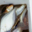 뉴그린 민박 이미지