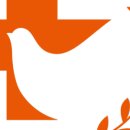 노스토스 이미지