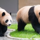 (주) 보금자리 이미지