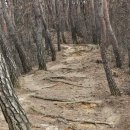 필봉산길 이미지