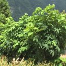 쉬리고기마당 이미지