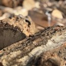 연소목장 이미지