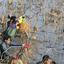 가래치기 이미지