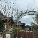 달빛한옥민박 별유풍경 이미지