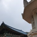 차이의발견