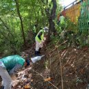 서울양목초등학교 이미지