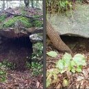 함창 오봉산 고분군 이미지