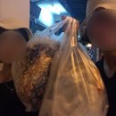 세러데이퍼니처 네이버블로그
