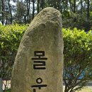 정운공순의비 이미지