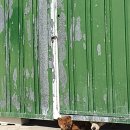 봄날의 담양 민박 이미지