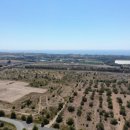 일진태양광발전소 이미지