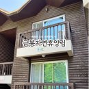 의성 금봉자연휴양림 솔직후기 (준비물, 배달불가)