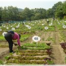 김영천농장 이미지