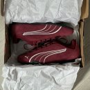 SD마트 | 가을 스니커즈 추천 푸마 캐치 솔레일 SD PUMA CATCH SOLEIL SD Team Regal Red - PUMA White 내돈내산...