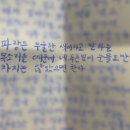인디고블루 이미지