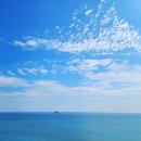 로뎀편백나무펜션 이미지