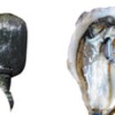 바다내음 이미지