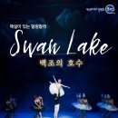 서울시티발레단 백조의 호수 이미지