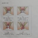 둔산이내훈의원 네이버블로그