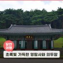 의두암 이미지