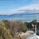 엘비스 펜션 이미지