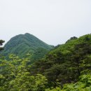 사나사 - 1160 | 사나사