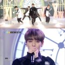 버터플라이임팩트(주) 이미지