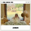 도개다곡길 | 구미 백일사진 셀프 스튜디오 사진관 공간 대여 고이담아 내돈내산
