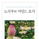 노사부