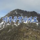인세목장 네이버블로그