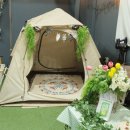 반석유치원 | 김포캠핑식당, 양곡 캠픽에서는 도심속 캠핑감성으로 아이와 함께 즐거운 소풍을