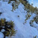 온천세차장 | 눈 오는날 고창 석정온천휴스파