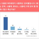 군싹, 스불재, 완내스…’ 아는 단어는 몇 개? 이미지