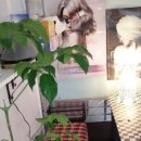 씨스터즈DIY