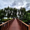 한반도섬 이미지