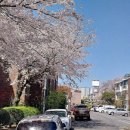 현대연립 이미지