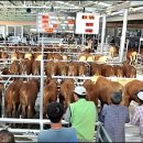 보성축협축산종합물류센터 이미지