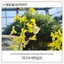 광성중고등학교 정문옆 | 수성구 아이와 가기 좋은 대구녹색학습원 방문후기