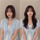 어헤브헤어